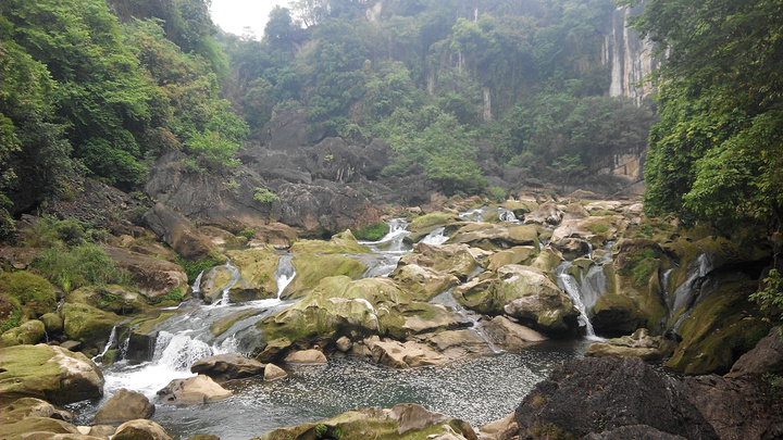 太阳成集团tyc7111cc_稻草的常见用途有哪些?(图2) 太阳成集团tyc7111cc