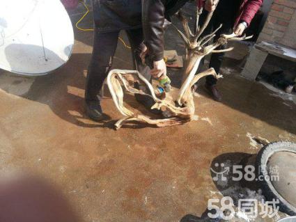 太阳成集团tyc7111cc