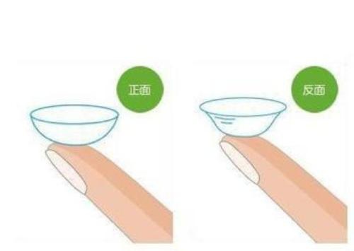 太阳成集团tyc7111cc_蚕桑养殖上正确使用方格簇(图3) 太阳成集团tyc7111cc