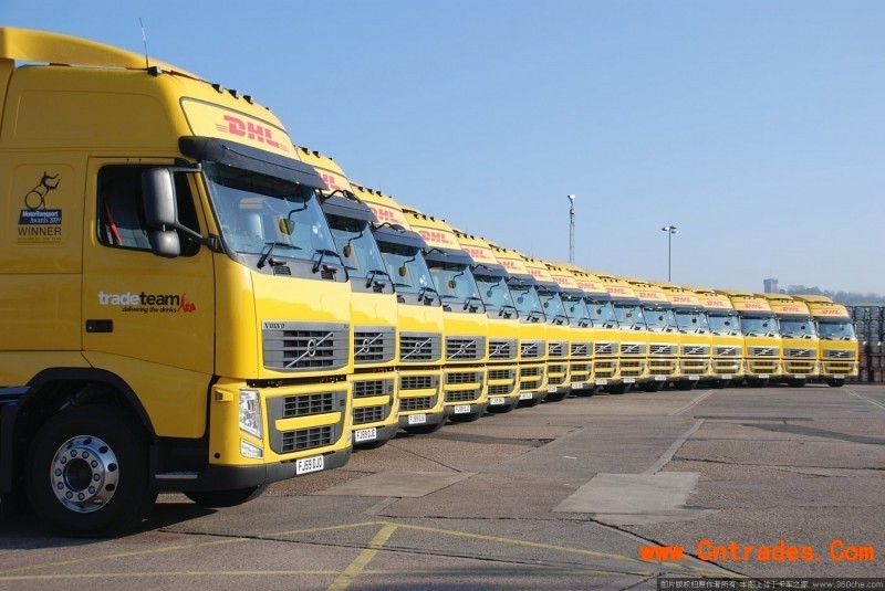 “太阳成集团tyc7111cc”莆田火鸡安家落户南埕(图4) 太阳成集团tyc7111cc