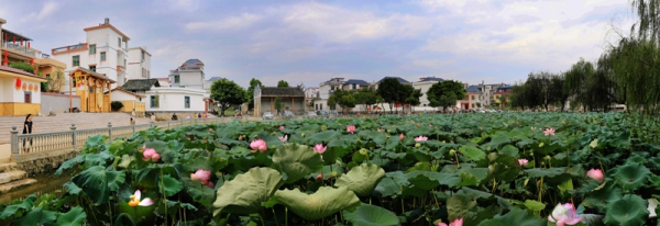 太阳成集团tyc7111cc