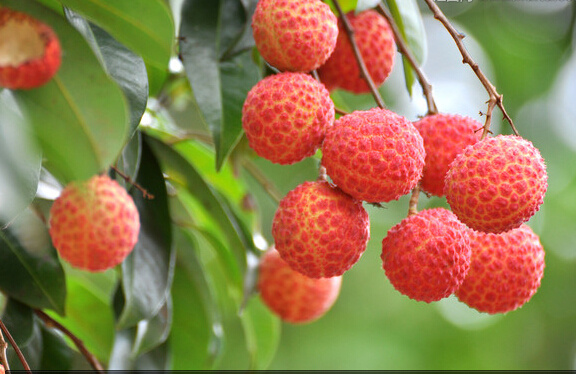 太阳成集团tyc7111cc