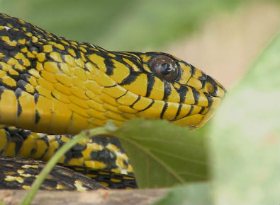 排放造假 江淮汽车不服处罚已申请行政复议|太阳成集团tyc7111cc(图3) 太阳成集团tyc7111cc